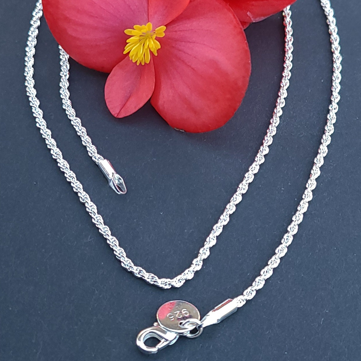 Sterling Silver Plated .925 Rope Chain with Lobster Claw, in 2mm or 4mm and 16" 18" 20" 22" 24"