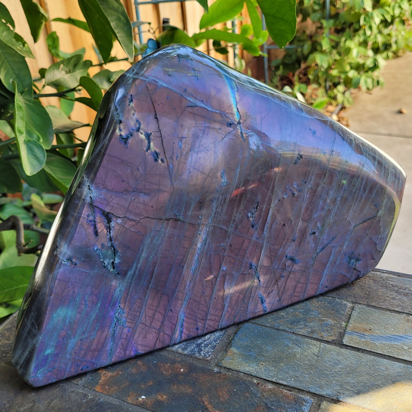 Huge Labradorite Freeform, 13.8LB With Purple and Pink Sunset Flash