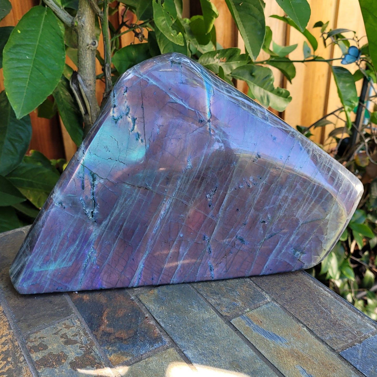 Huge Labradorite Freeform, With Purple and Pink Sunset Flash