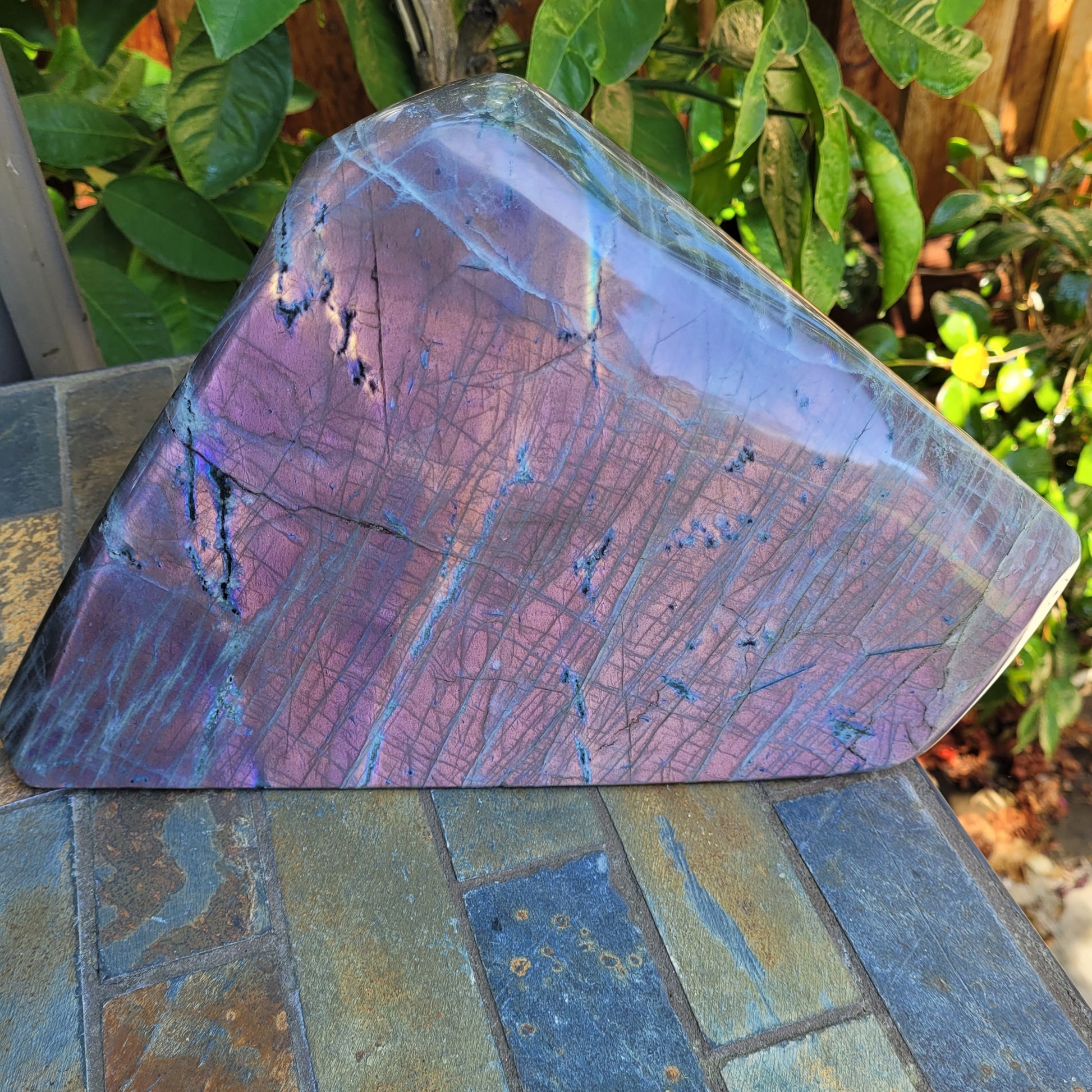 Huge Labradorite Freeform, With Purple and Pink Sunset Flash