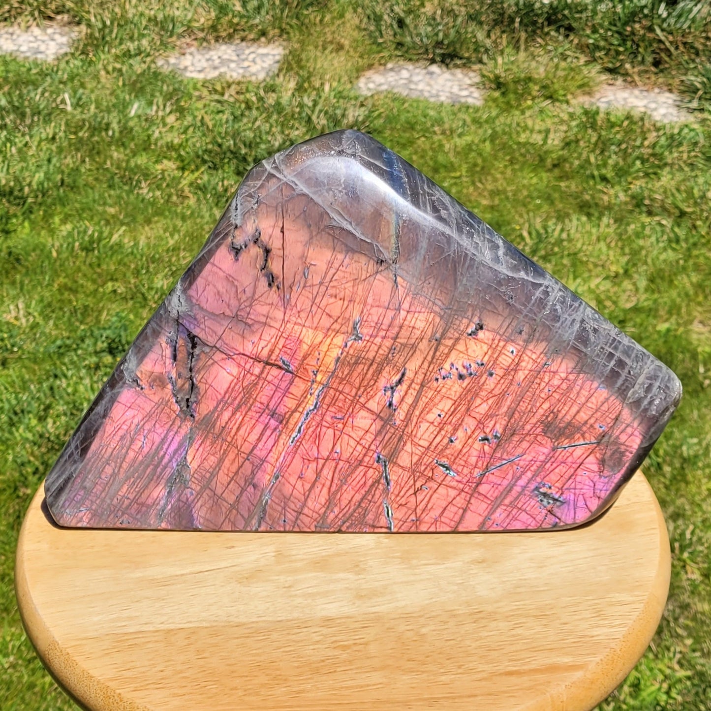 Huge Labradorite Freeform, 13.8LB With Purple and Pink Sunset Flash