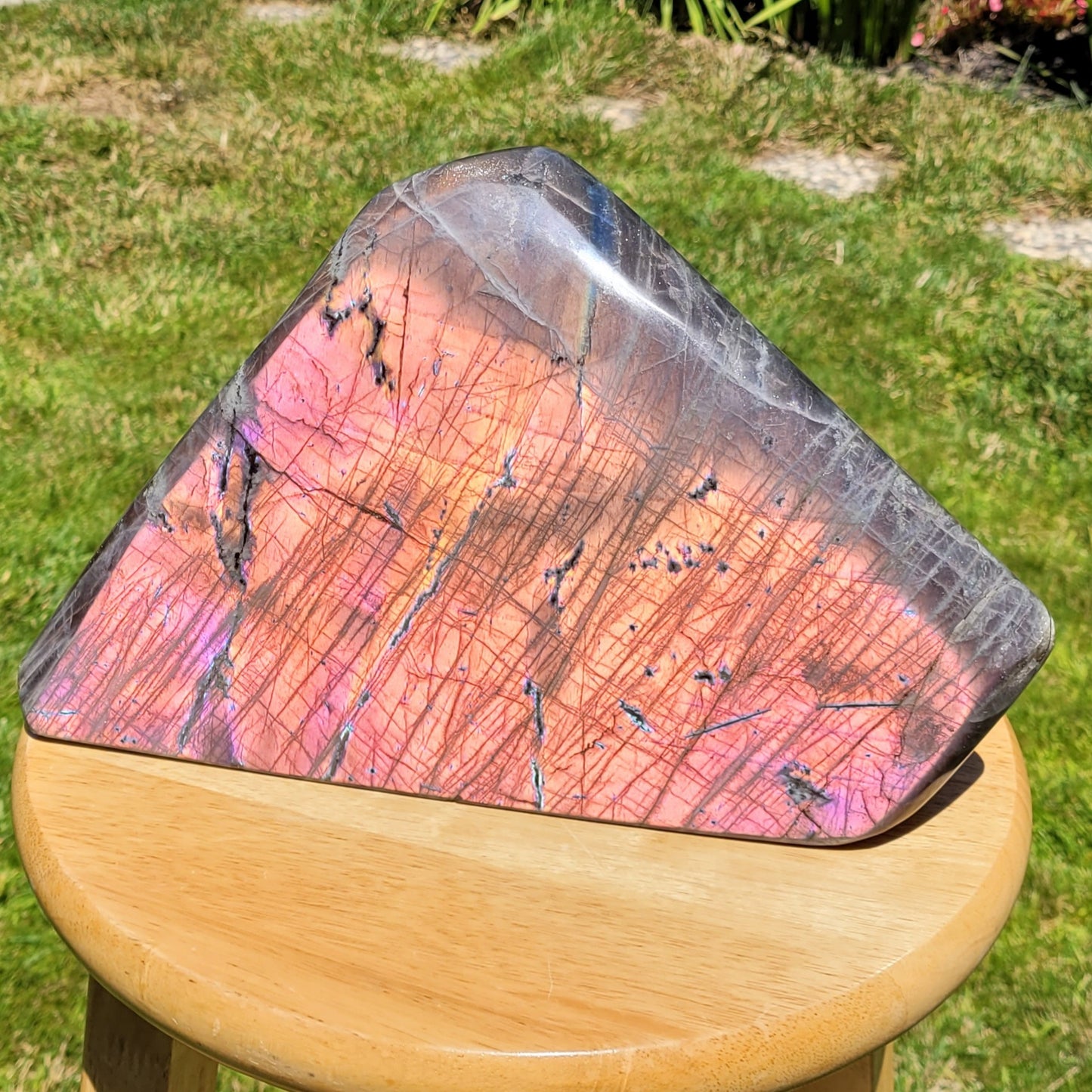 Huge Labradorite Freeform, 13.8LB With Purple and Pink Sunset Flash