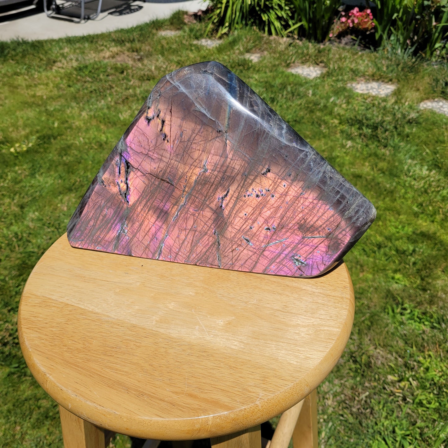 Huge Labradorite Freeform, 13.8LB With Purple and Pink Sunset Flash