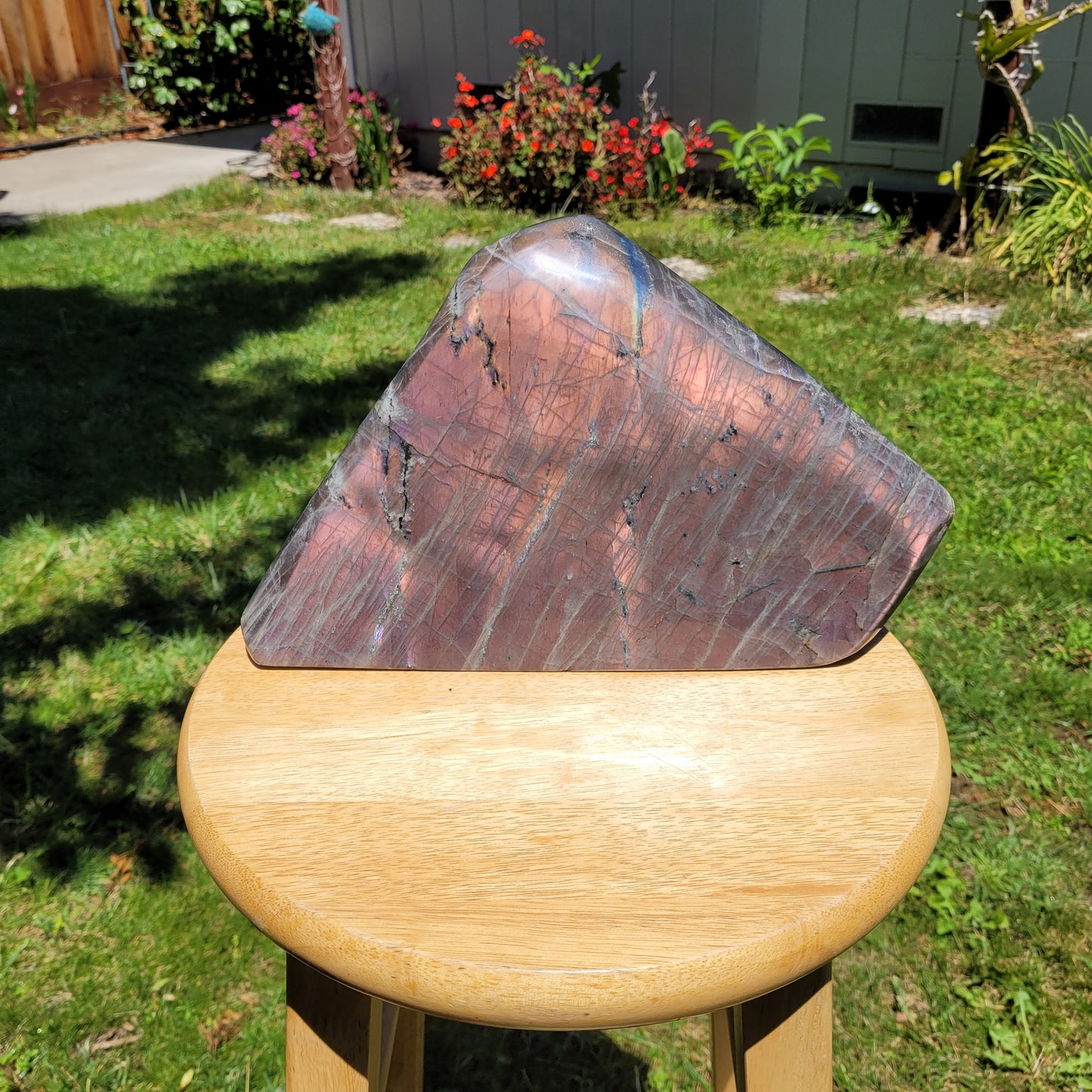 Huge Labradorite Freeform, 13.8LB With Purple and Pink Sunset Flash