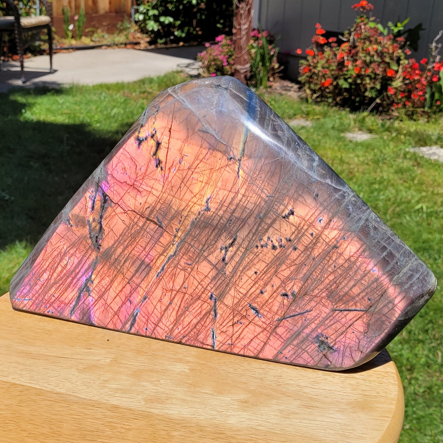 Huge Labradorite Freeform, 13.8LB With Purple and Pink Sunset Flash