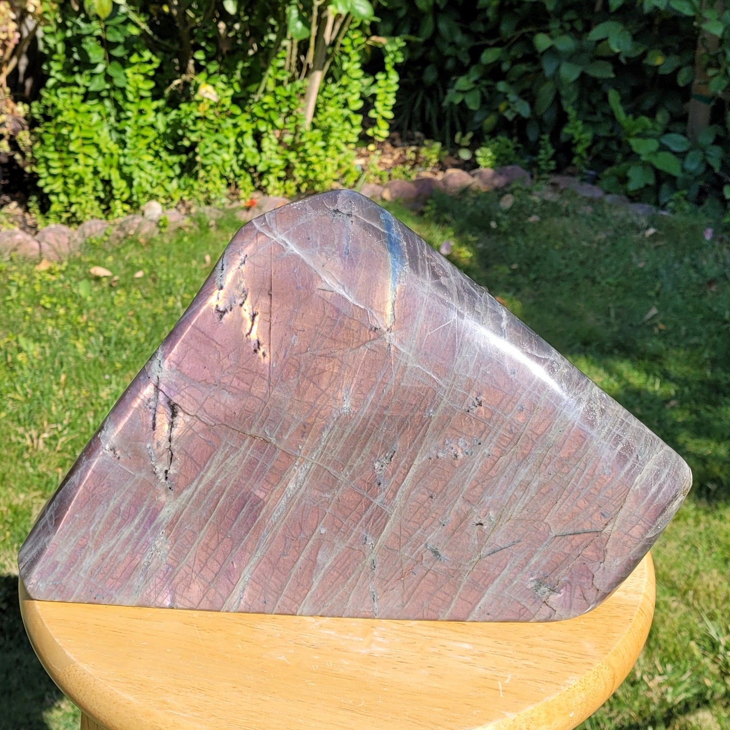 Huge Labradorite Freeform, 13.8LB With Purple and Pink Sunset Flash