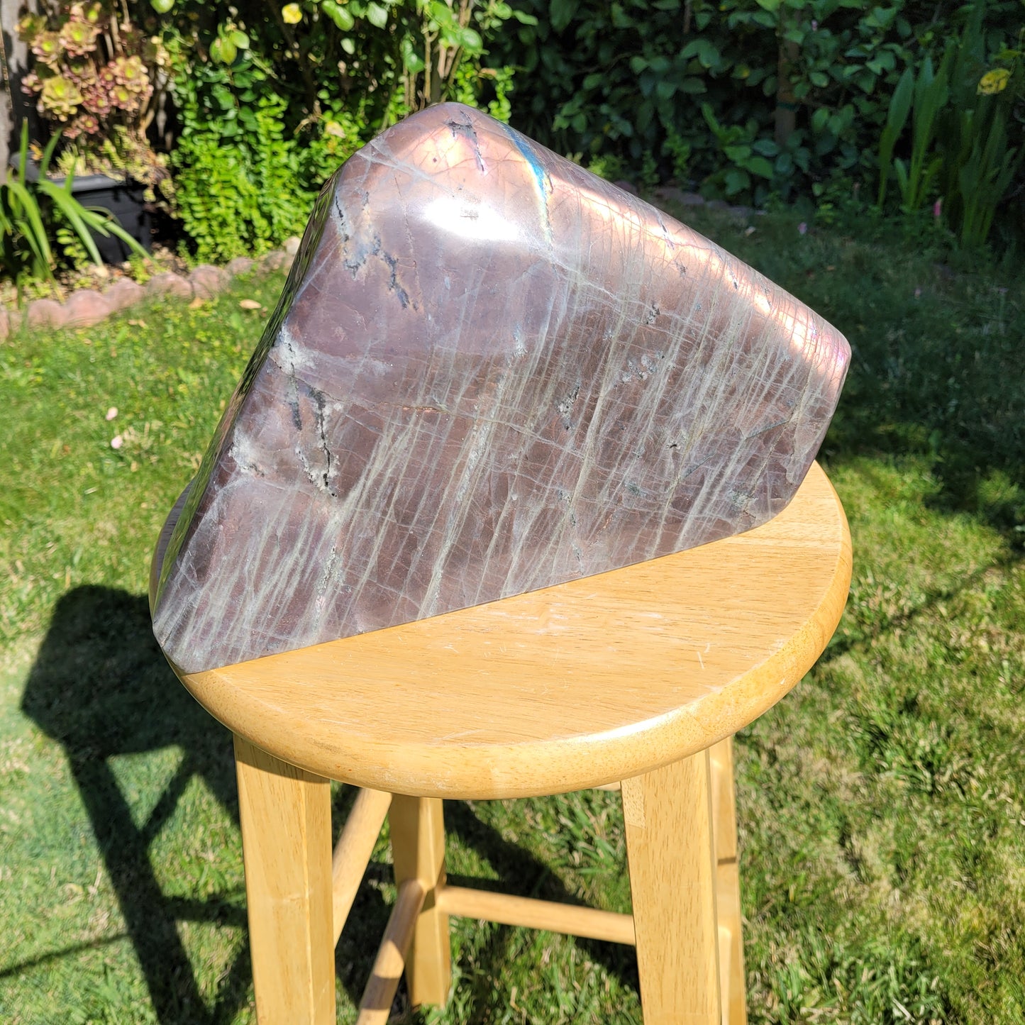 Huge Labradorite Freeform, 13.8LB With Purple and Pink Sunset Flash