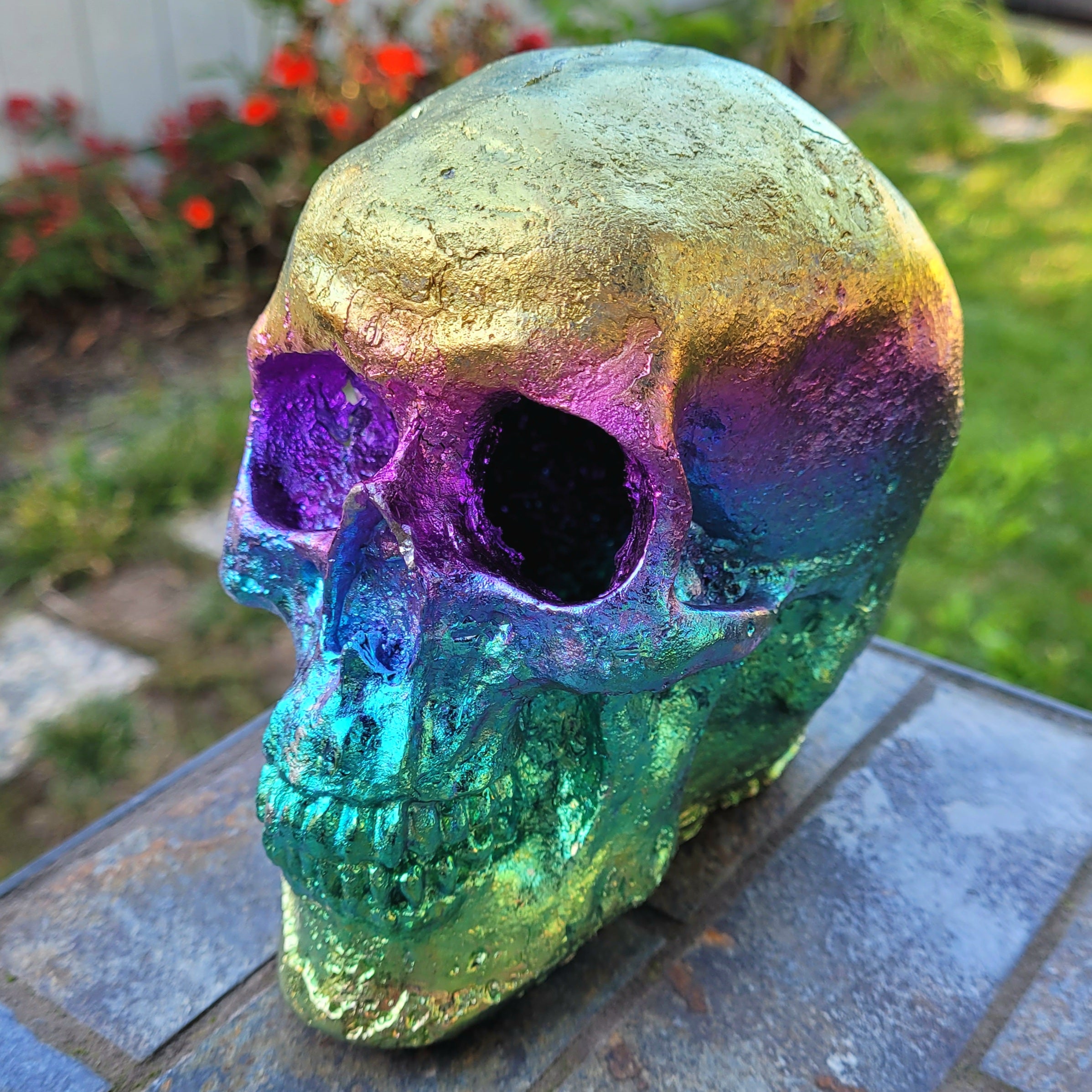 Bismuth Rainbow Coral Dinosaur Skull Sculpture - Great Gift for online Skull Collectors Him or Her