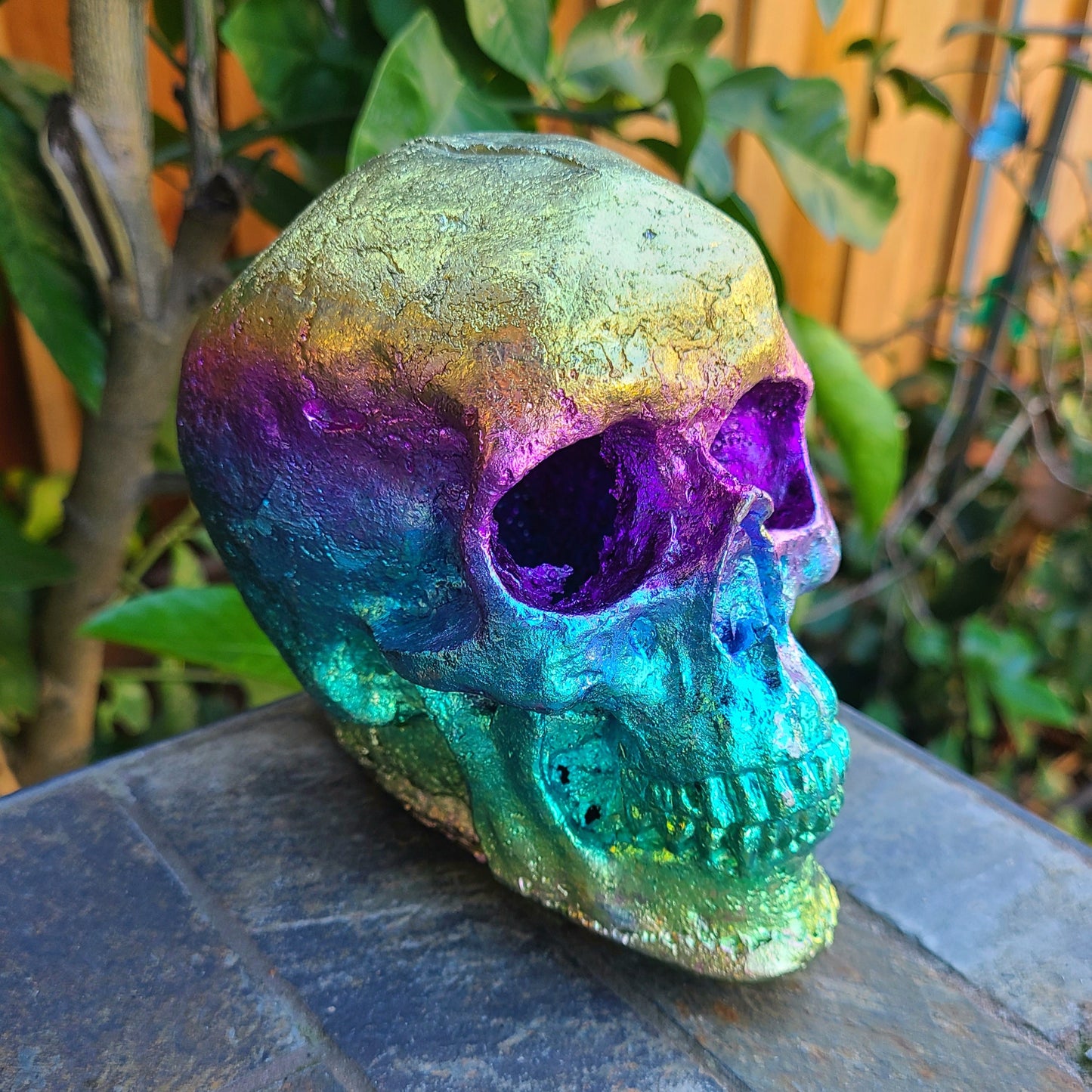 Rainbow Bismuth Human Sized Skull, 4.6 Pounds and 6.5" Made by The Bismuth Smith