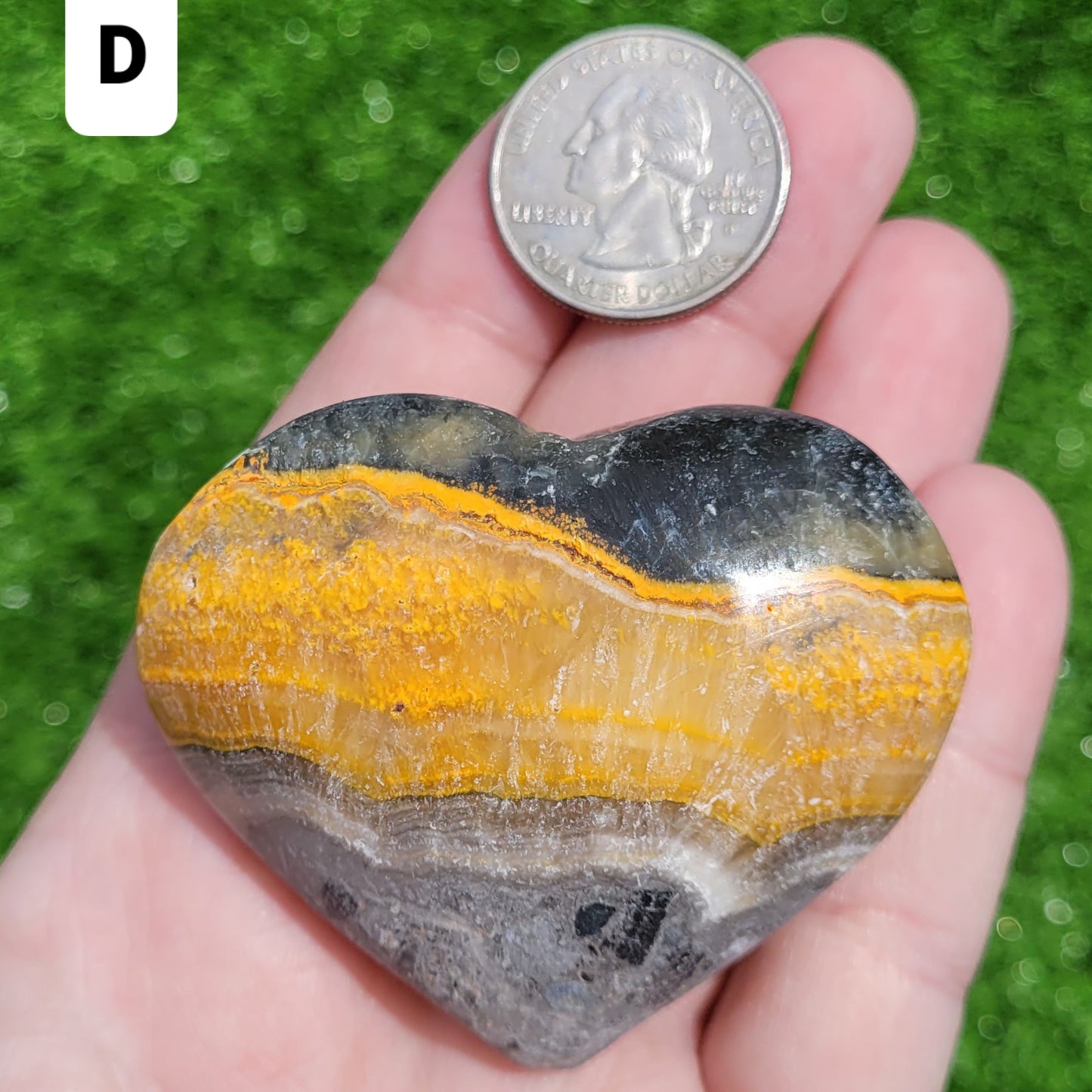 Bumblebee Jasper Heart