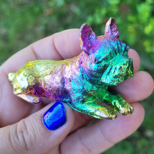 Bismuth French Bulldog Dog in Rainbow