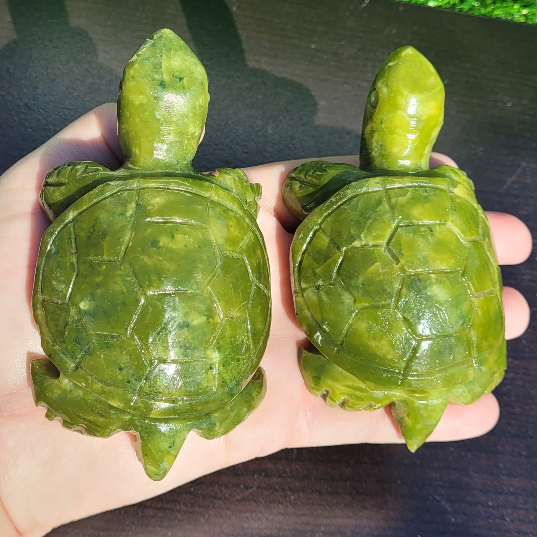 Green Crystal Turtle