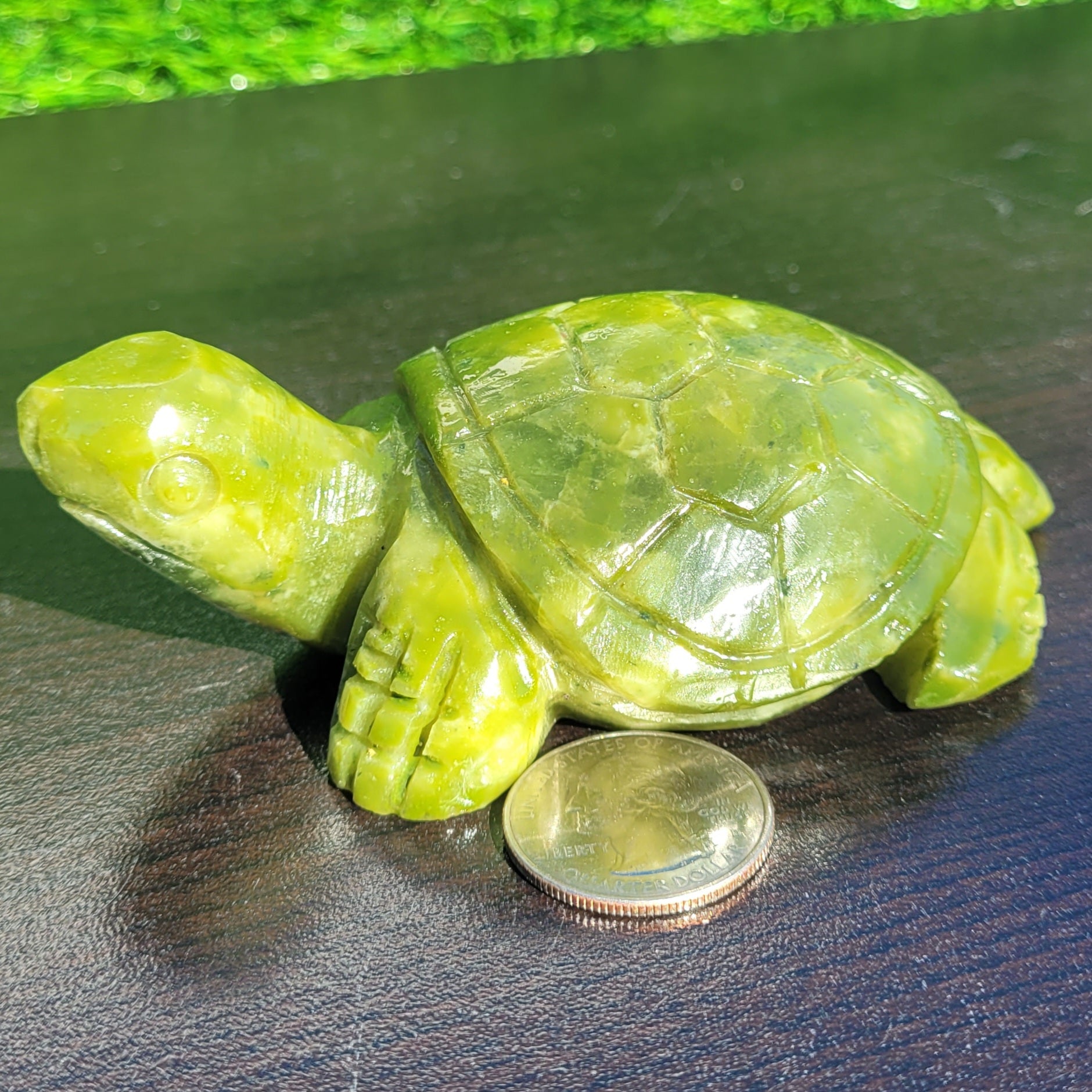 Green Crystal Turtle