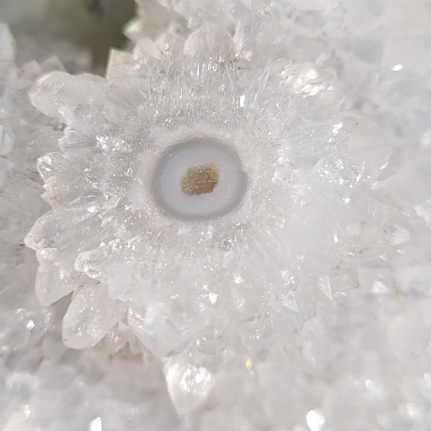 Druzy Moss Agate Stalactite Specimen and Slab