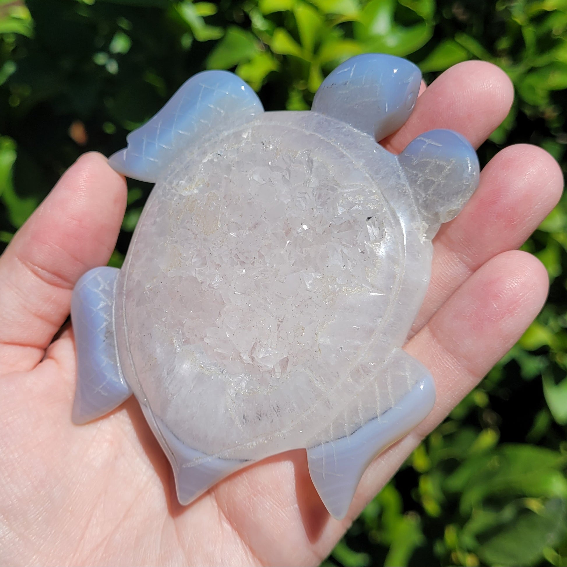 Druzy Agate Sea Turtle