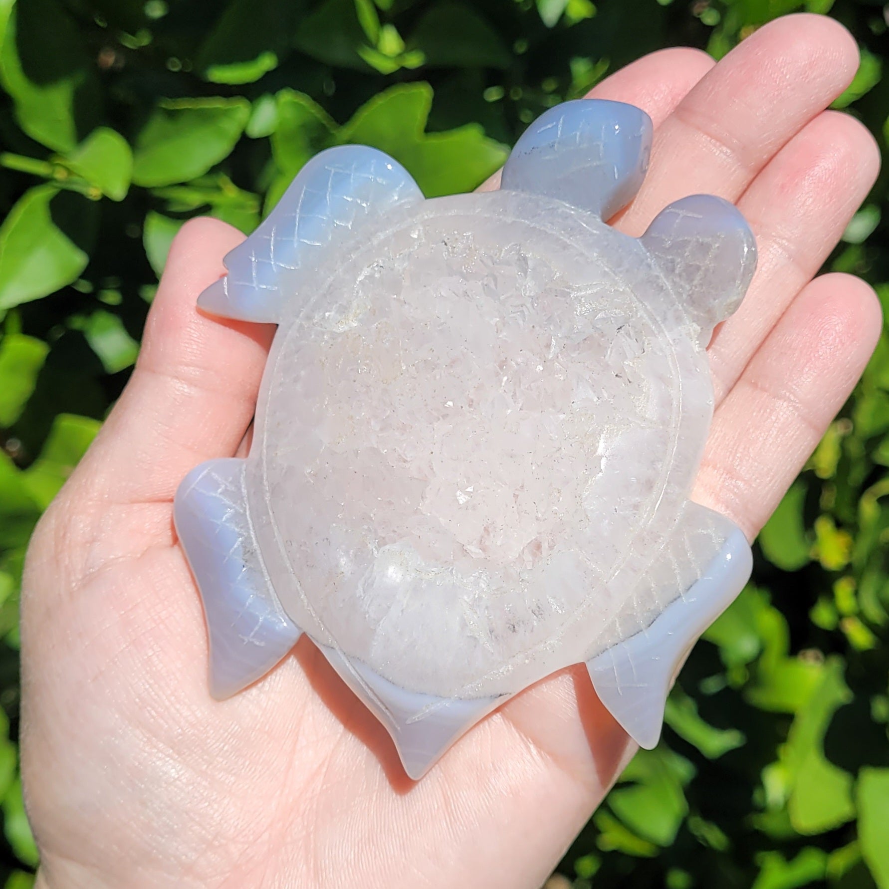 Druzy Agate Sea Turtle