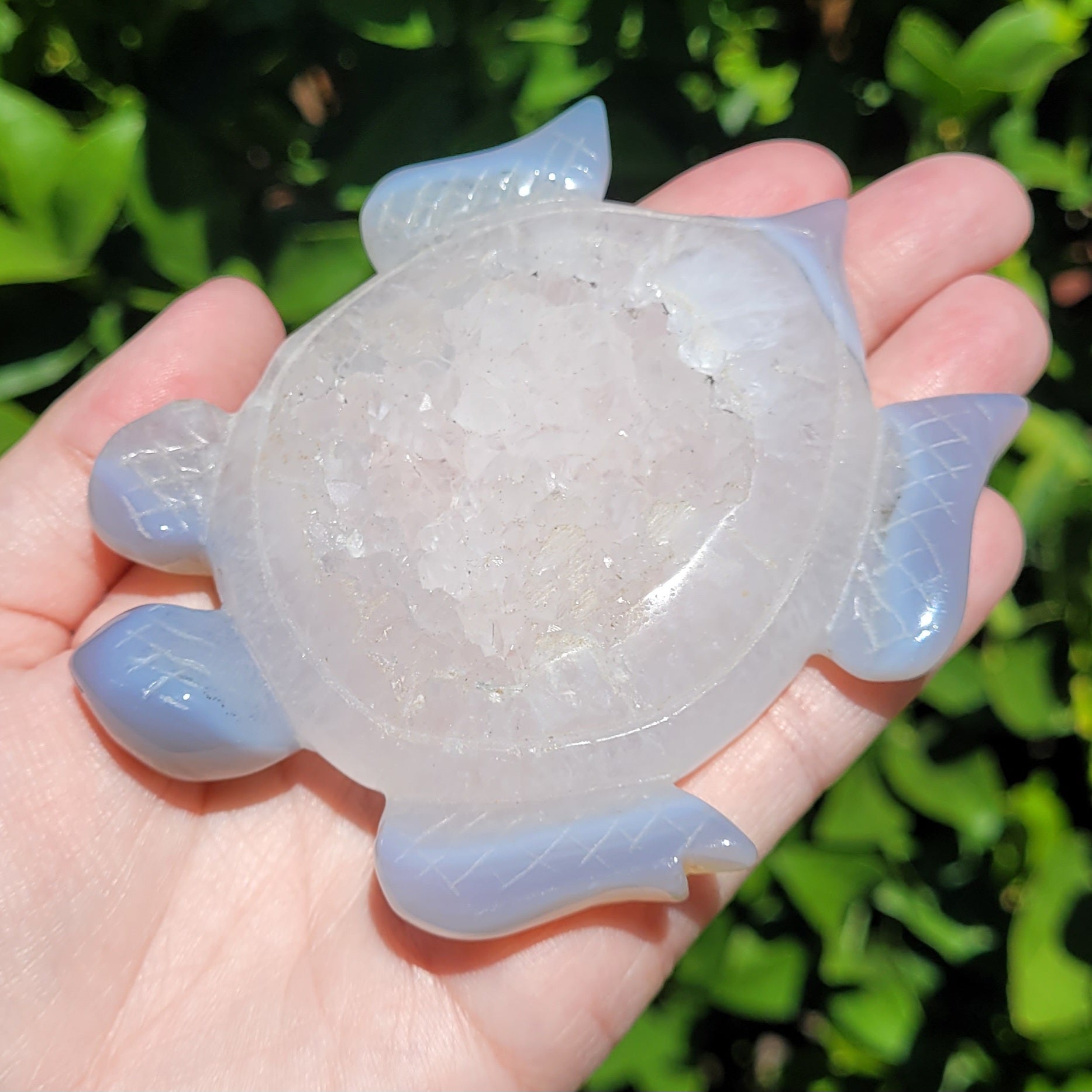 Druzy Agate Sea Turtle