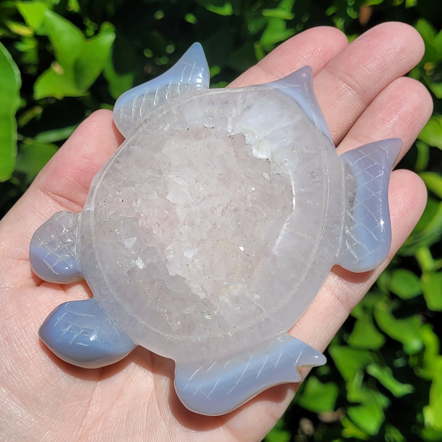 Druzy Agate Crystal Sea Turtle