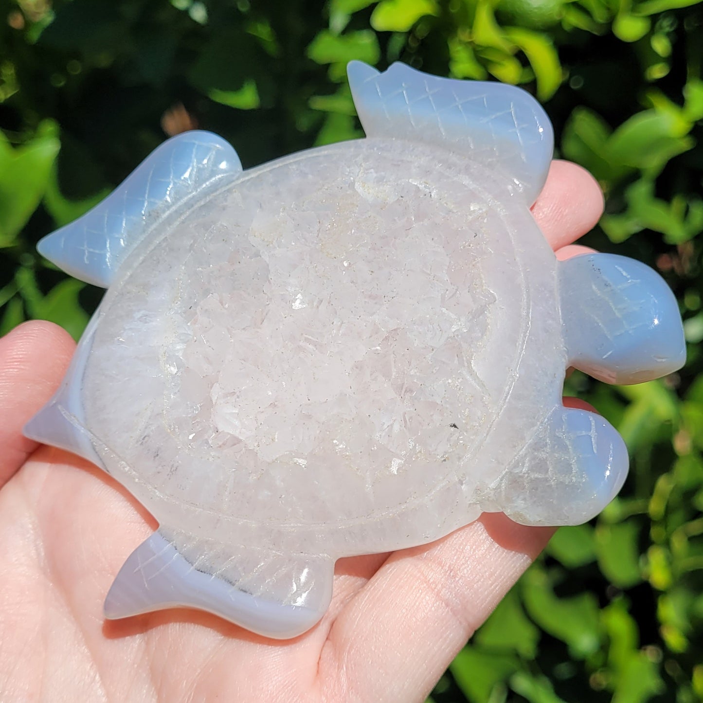 Druzy Agate Sea Turtle