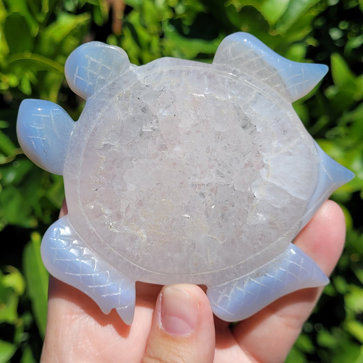 Druzy Agate Crystal Sea Turtle