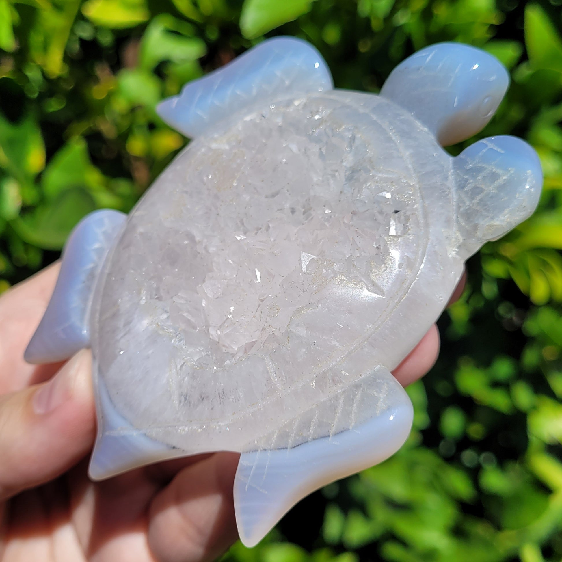 Druzy Agate Crystal Sea Turtle