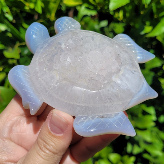 Druzy Agate Crystal Sea Turtle