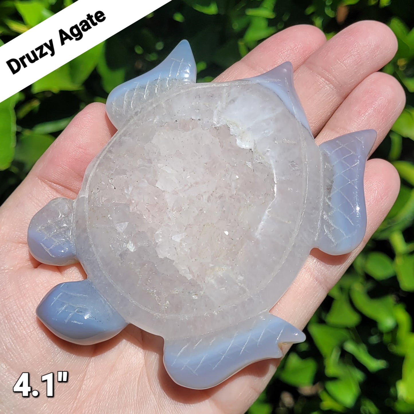 Druzy Agate Sea Turtle