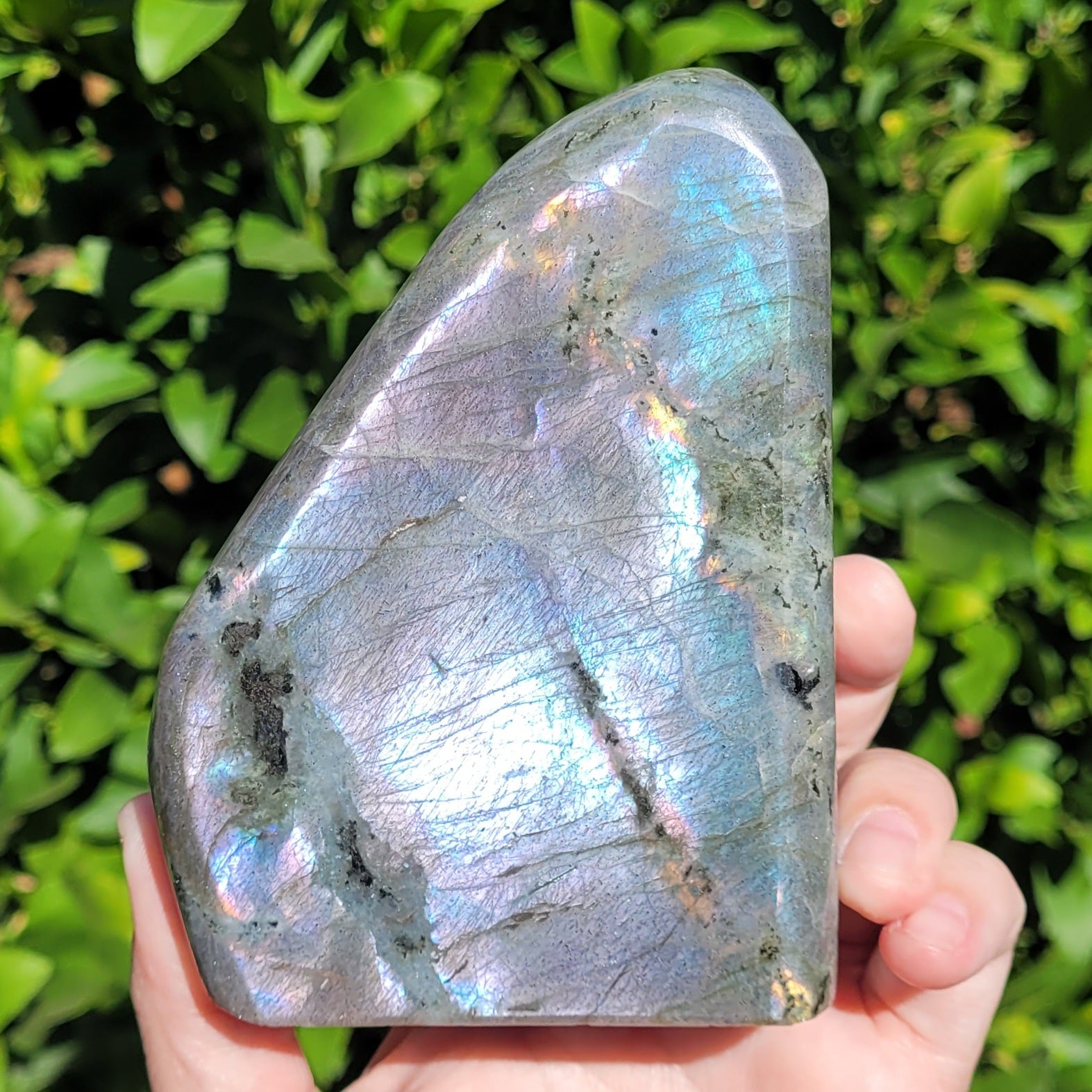 Purple Labradorite Freeform Crystal