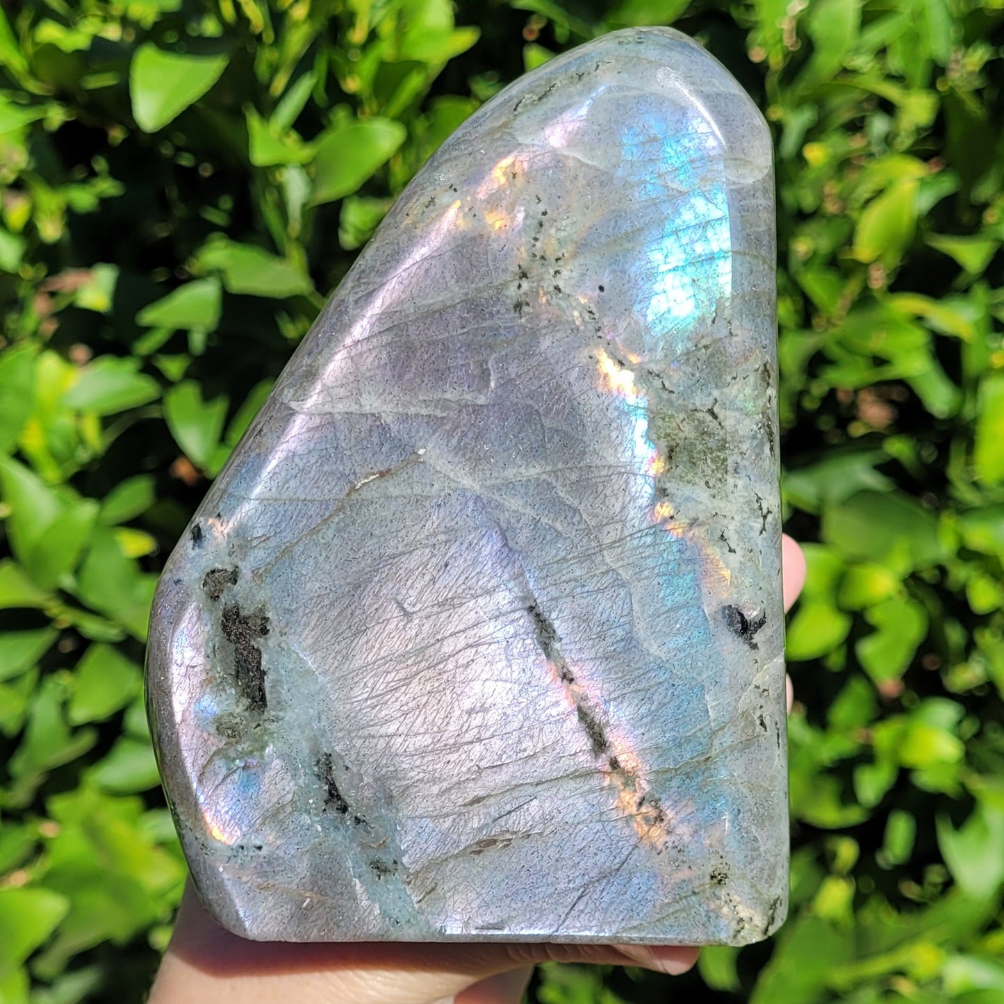 Purple Labradorite Freeform Crystal, 2.2LB, 992g, Purple Blue and Orange Flash, 4.6" x 3.5" x 2.1"