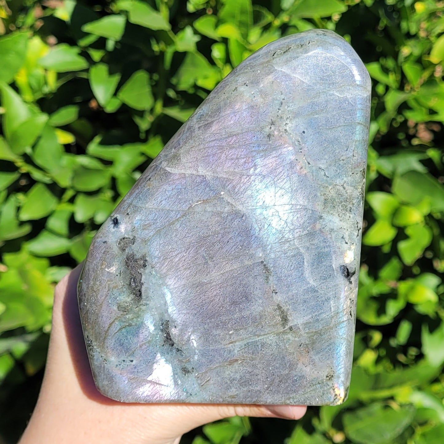 Purple Labradorite Freeform Crystal, 2.2LB, 992g, Purple Blue and Orange Flash, 4.6" x 3.5" x 2.1"