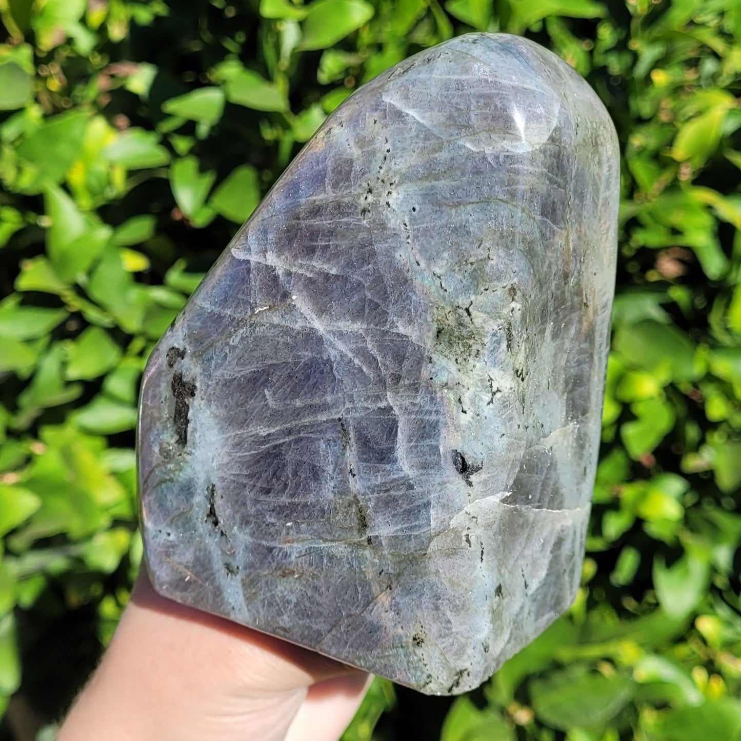 Purple Labradorite Freeform Crystal, 2.2LB, 992g, Purple Blue and Orange Flash, 4.6" x 3.5" x 2.1"