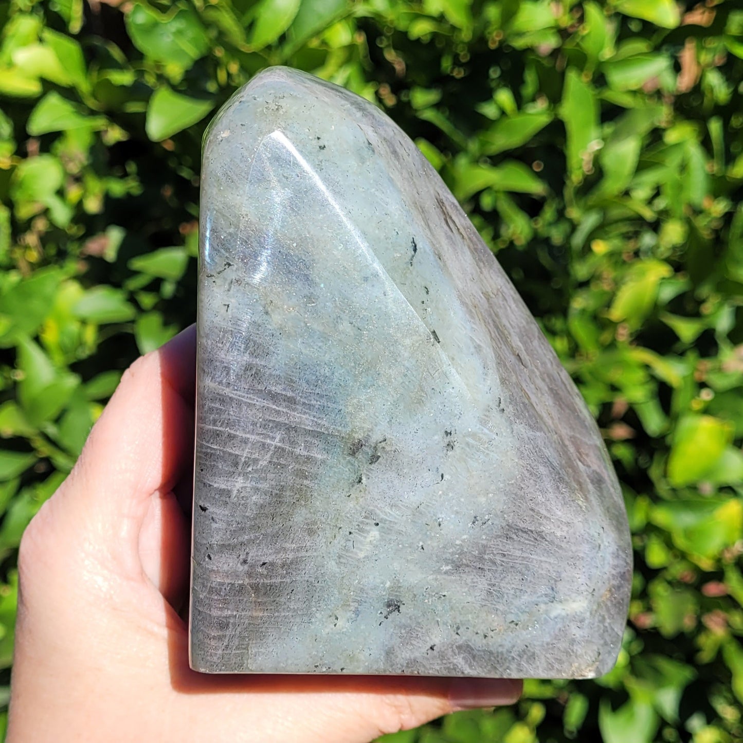 Purple Labradorite Freeform Crystal