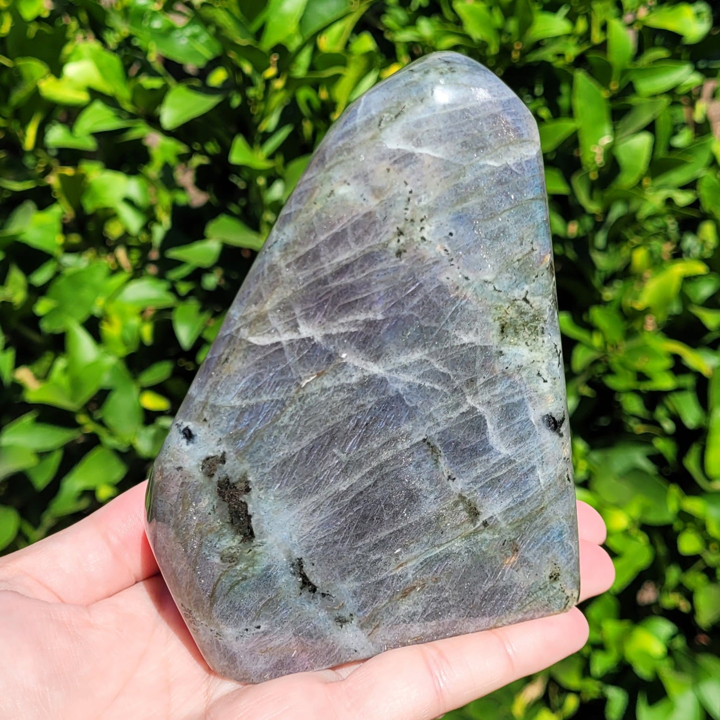 Purple Labradorite Freeform Crystal, 2.2LB, 992g, Purple Blue and Orange Flash, 4.6" x 3.5" x 2.1"