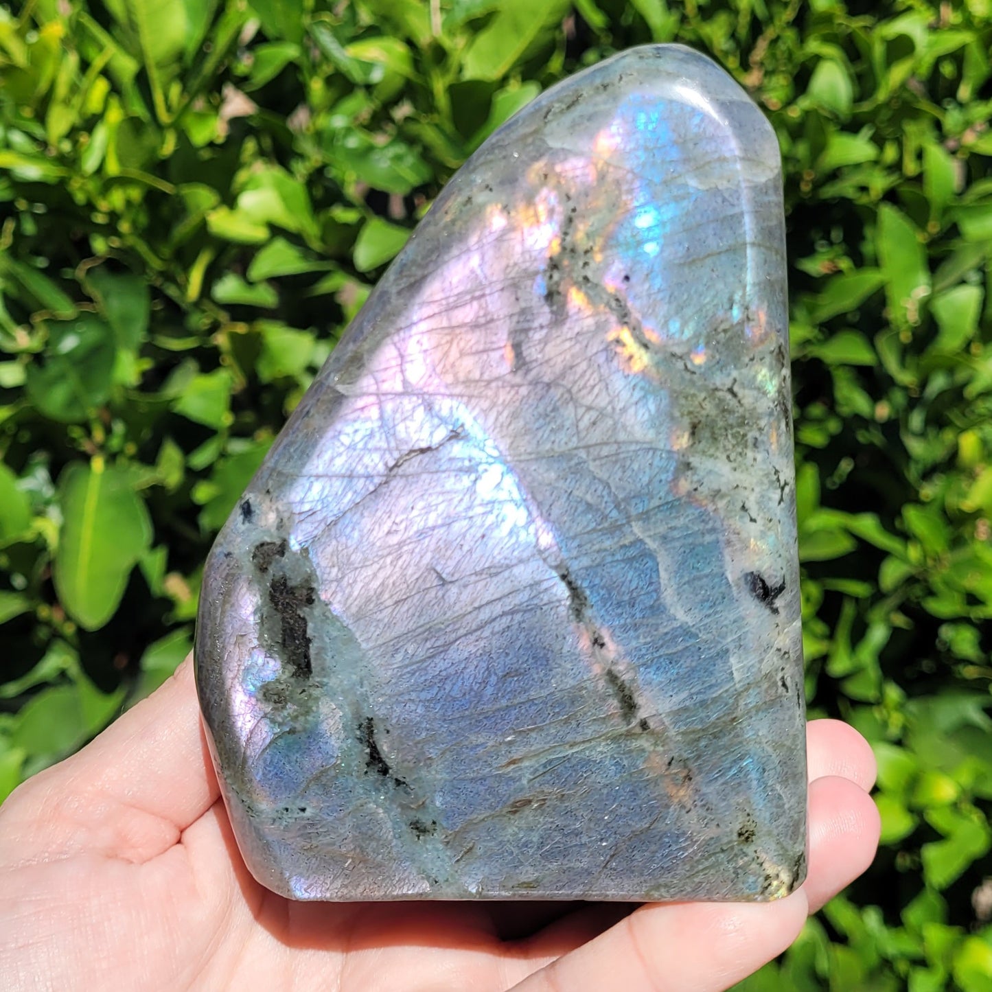 Purple Labradorite Freeform Crystal