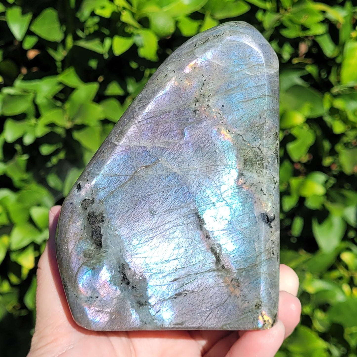 Purple Labradorite Freeform Crystal, 2.2LB, 992g, Purple Blue and Orange Flash, 4.6" x 3.5" x 2.1"