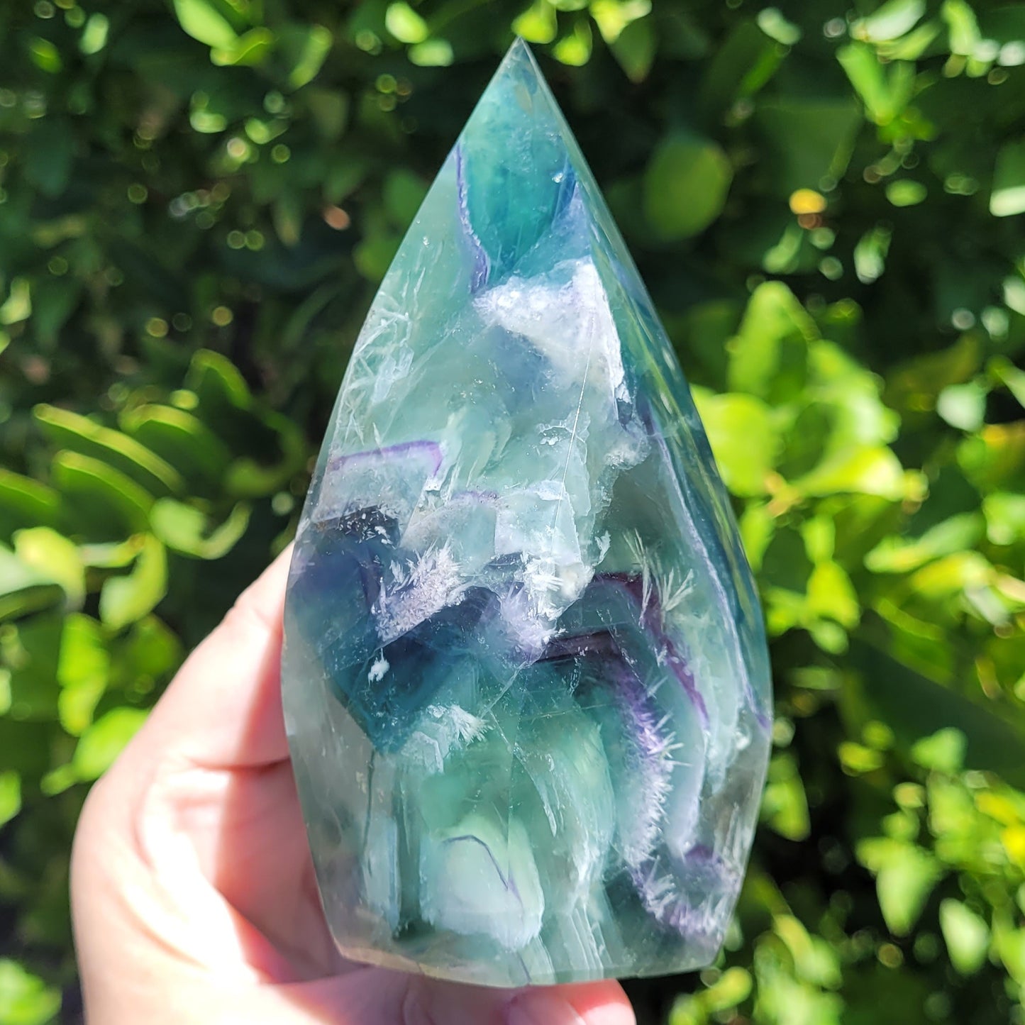 Rainbow Snowflake Fluorite Crystal Flame, 530 Grams, 5" {#F)