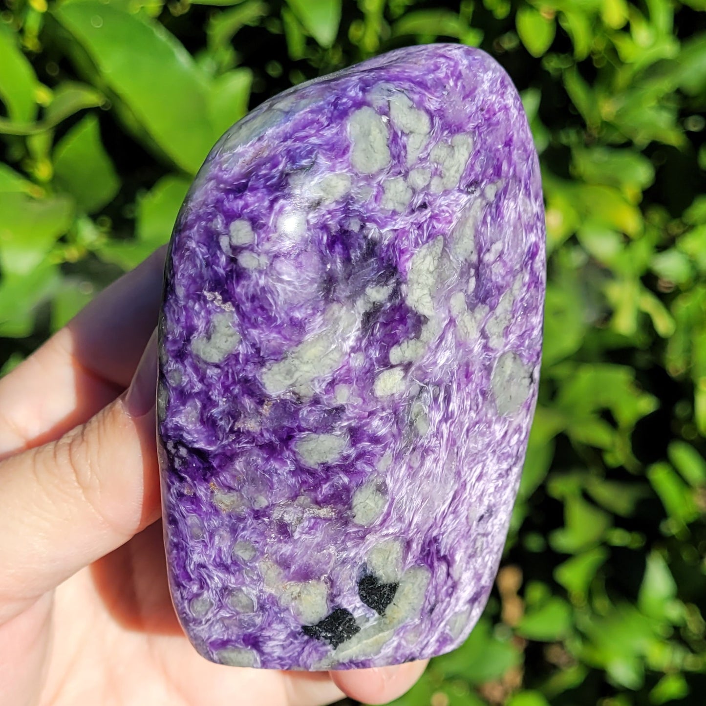 Purple Charoite Crystal Freeform