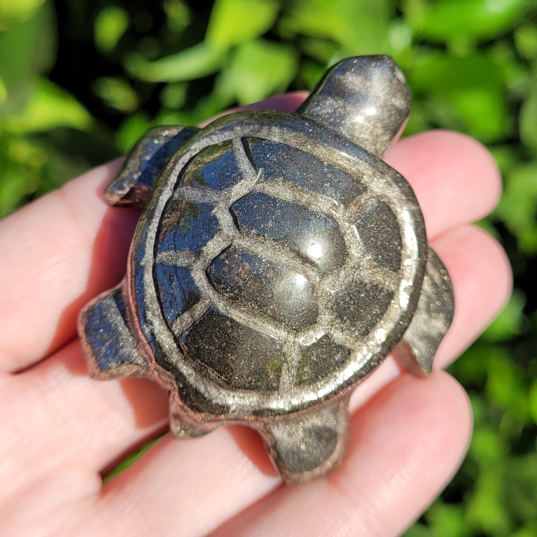  Pyrite Sea Turtle Crystal