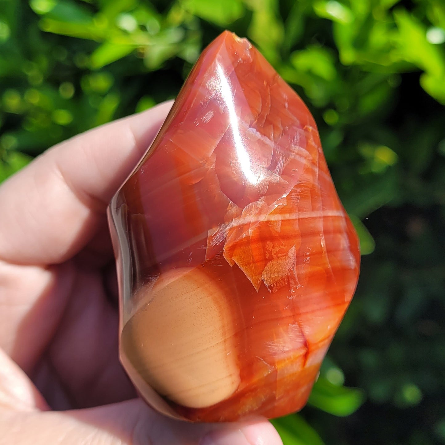 Carnelian Flame