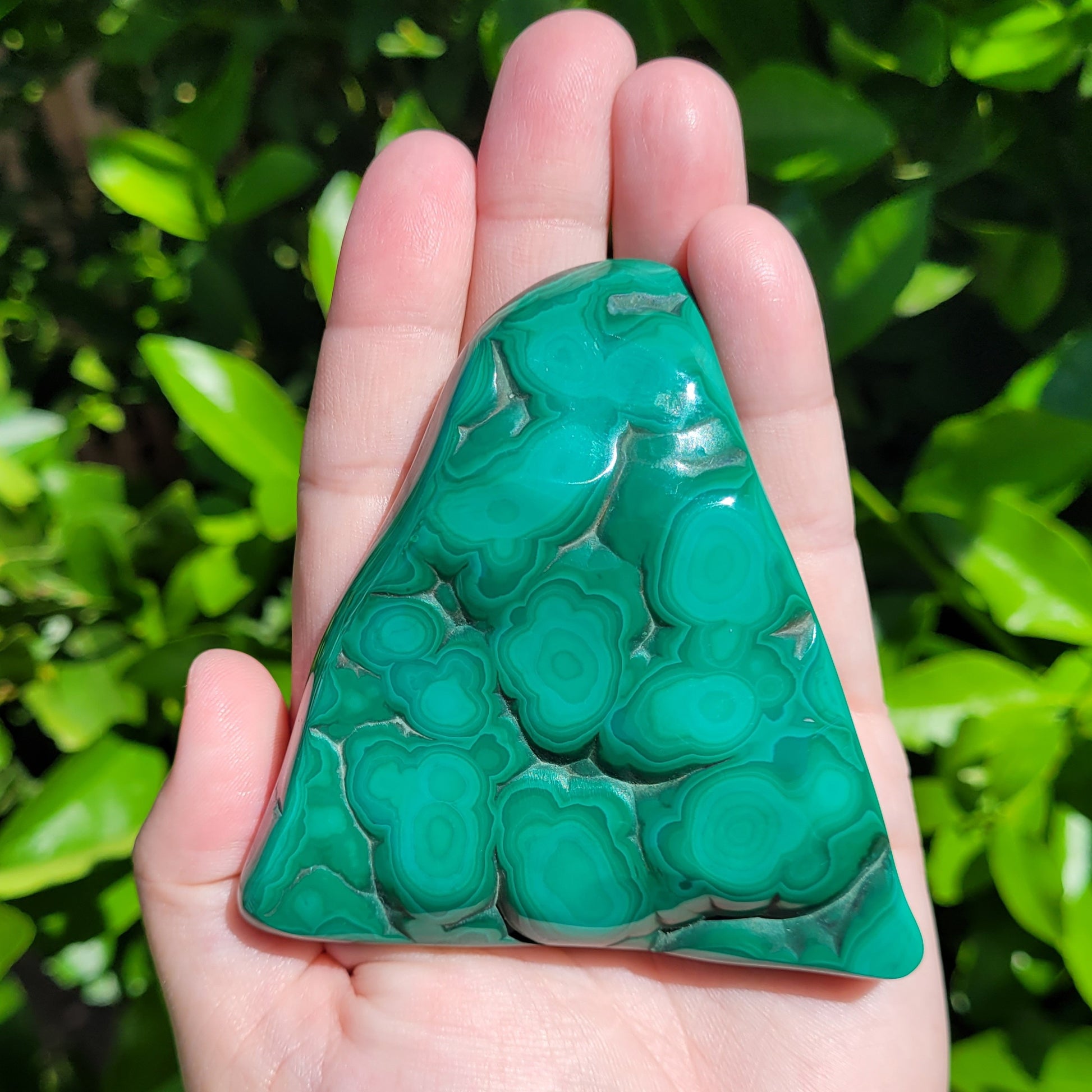 Malachite freeform