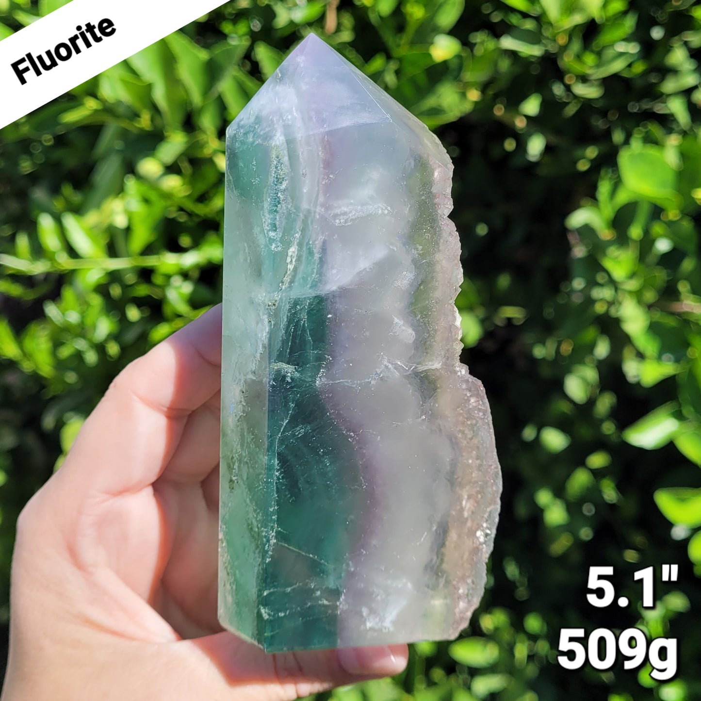 Blue Green Fluorite Tower Crystal with Raw Edge, 509g, 5.1"