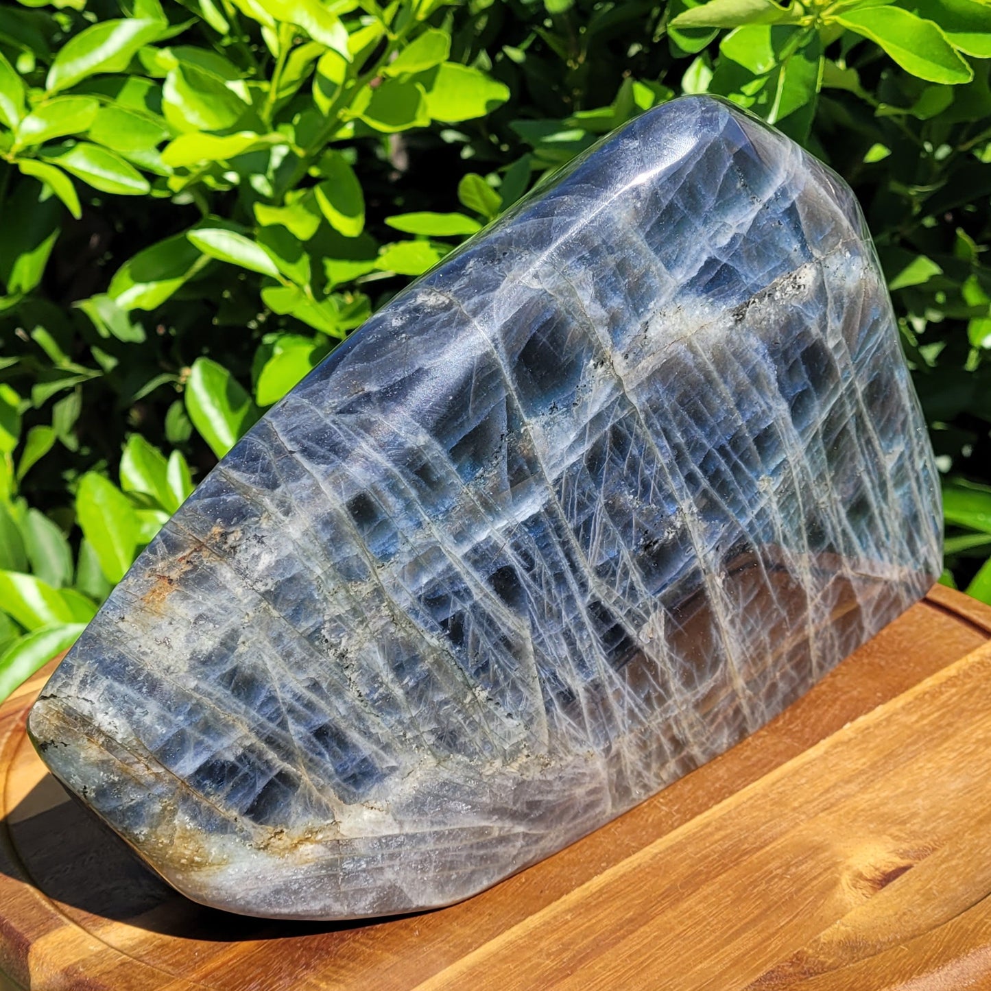 Huge Labradorite Freeform, With Purple and Pink Sunset Flash