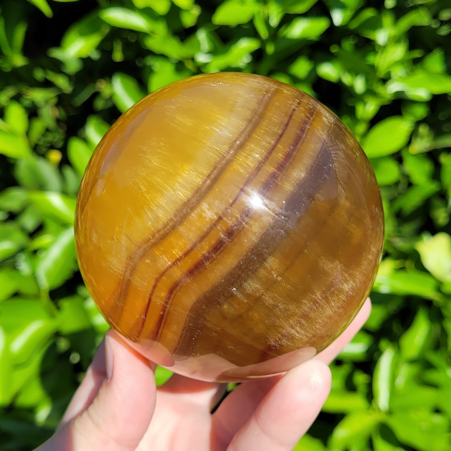 Yellow Banded Fluorite Crystal Sphere, 1174g, 3.6", 90mm