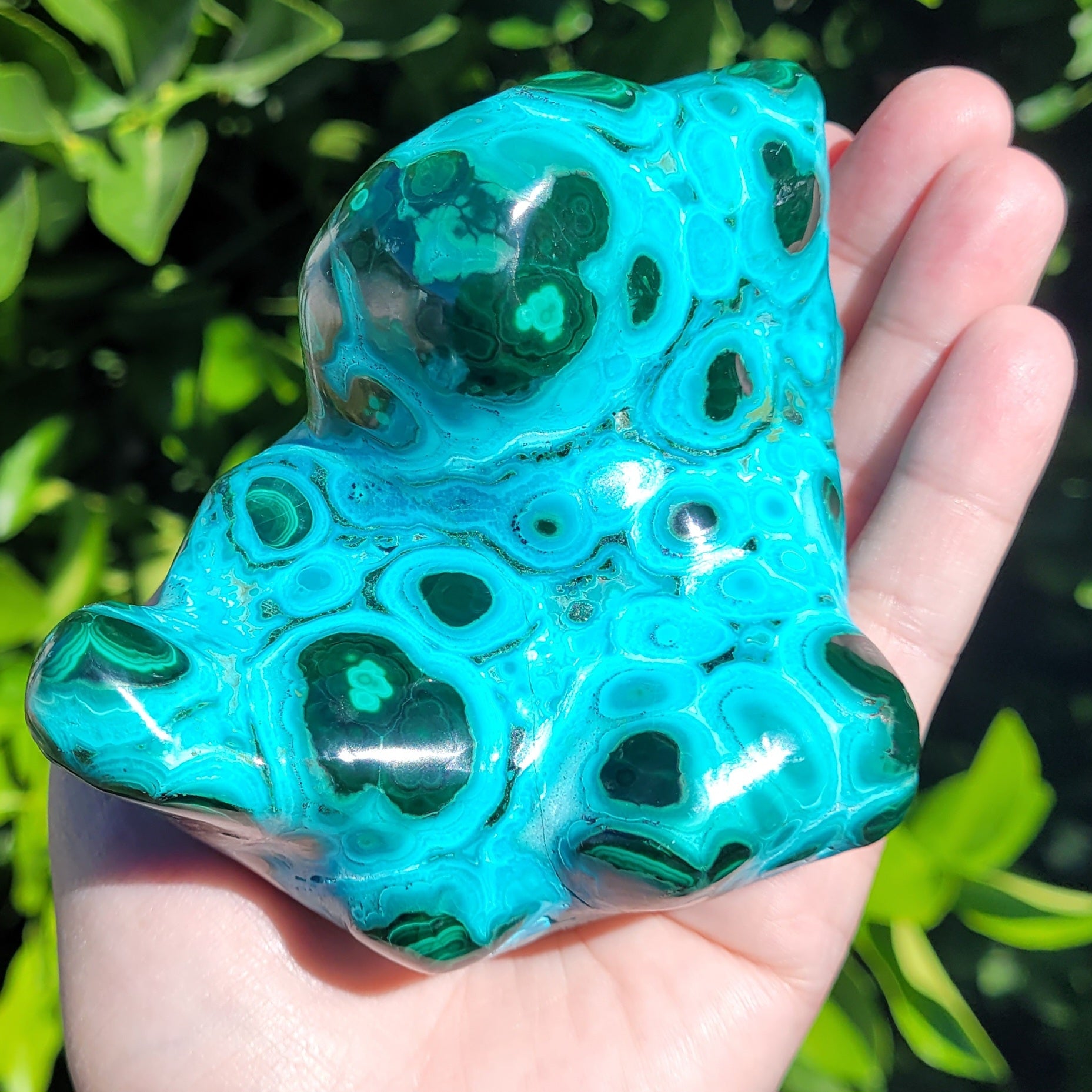 Chrysocolla with Malachite Freeform Polished and Raw Specimen