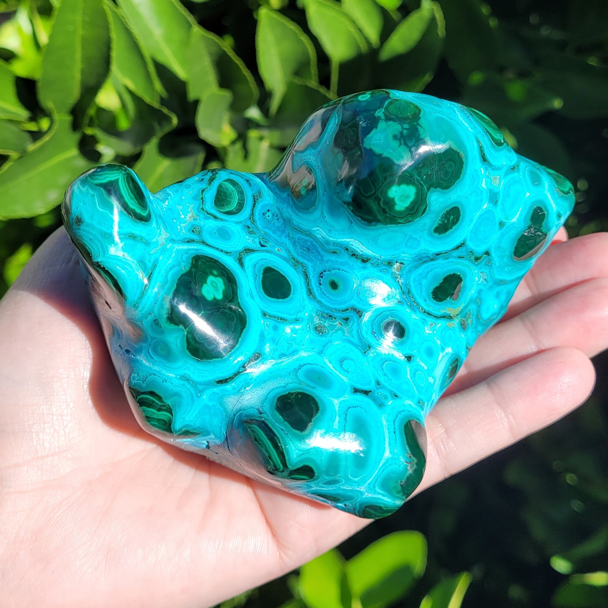 Chrysocolla with Malachite Freeform Polished and Raw Specimen