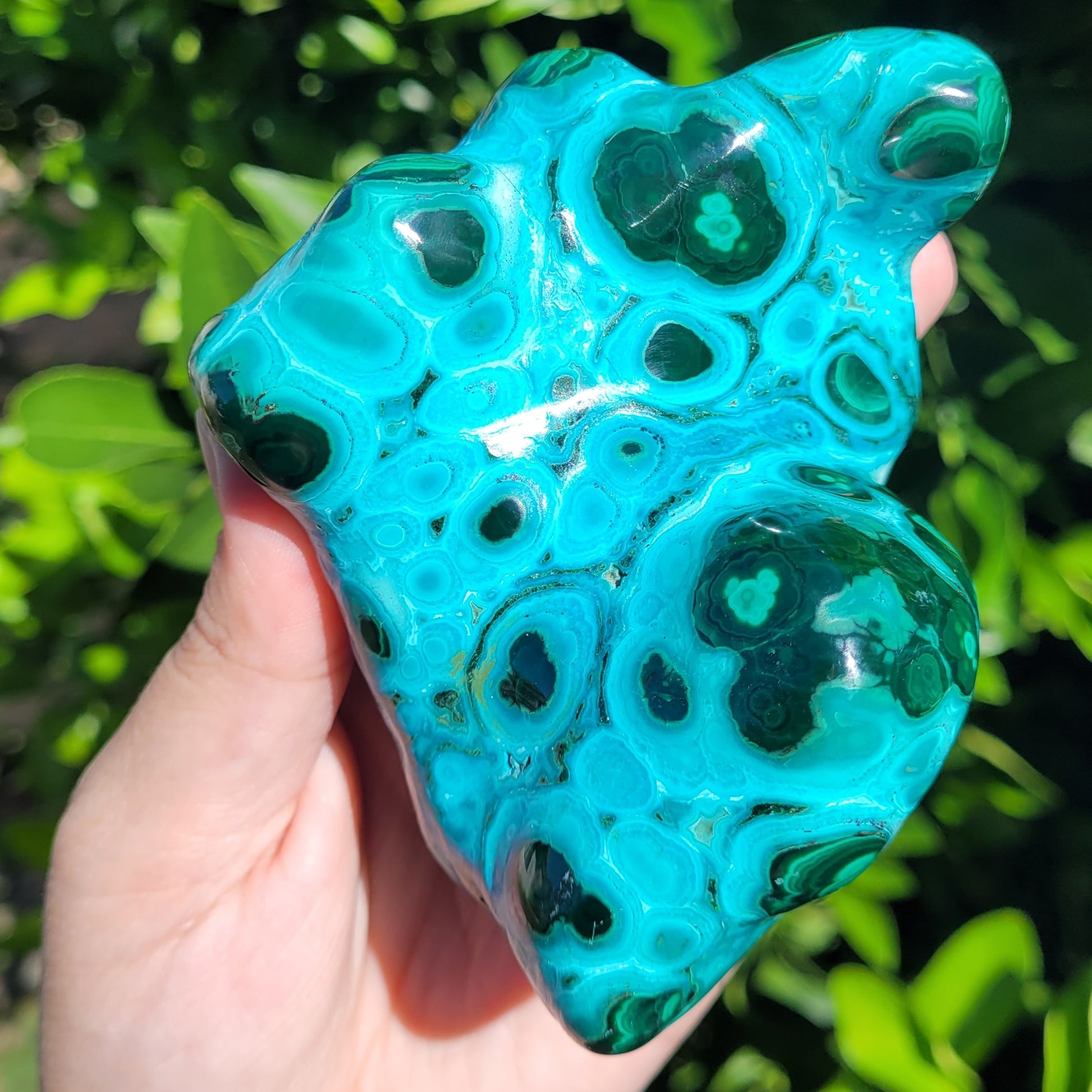 Chrysocolla with Malachite Freeform Polished and Raw Specimen