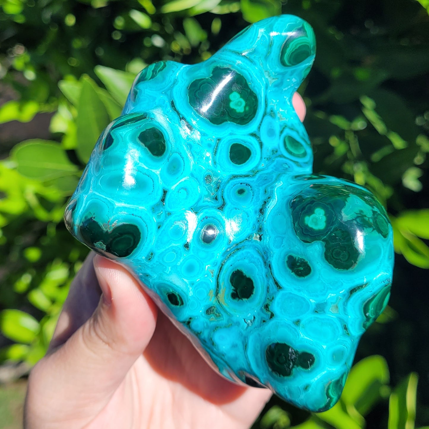 Chrysocolla with Malachite Freeform Polished and Raw Specimen