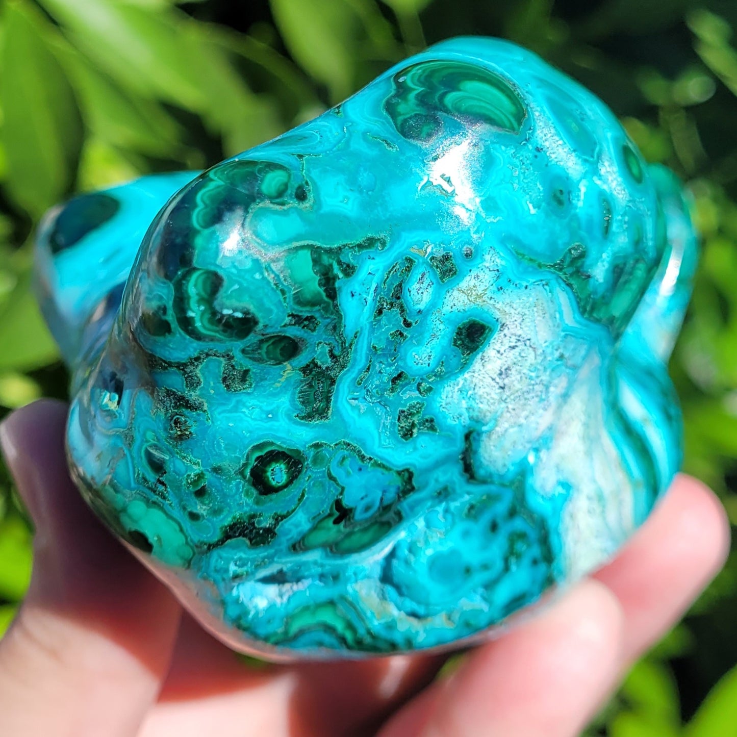 Chrysocolla with Malachite Freeform Polished and Raw Specimen