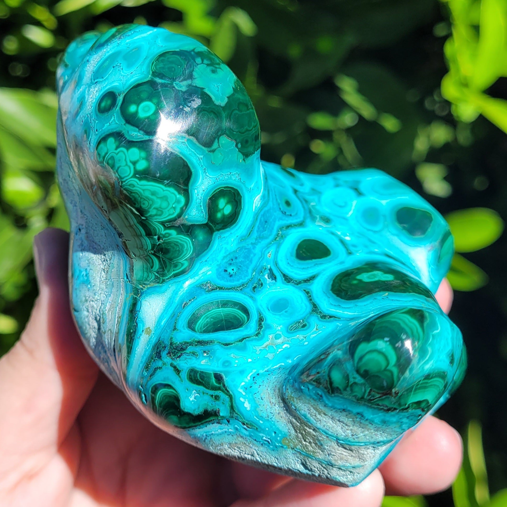 Chrysocolla with Malachite Freeform Polished and Raw Specimen