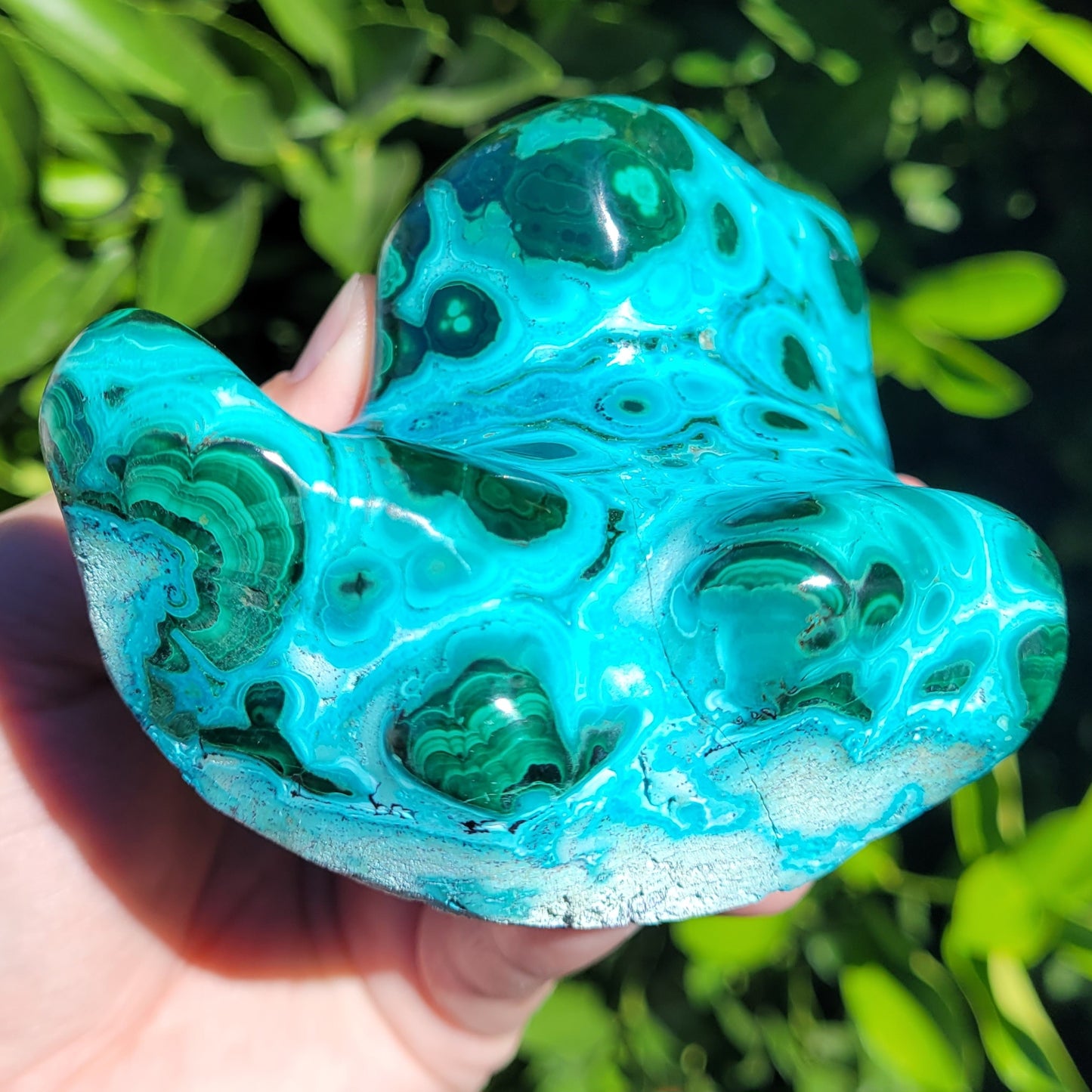 Chrysocolla with Malachite Freeform Polished and Raw Specimen